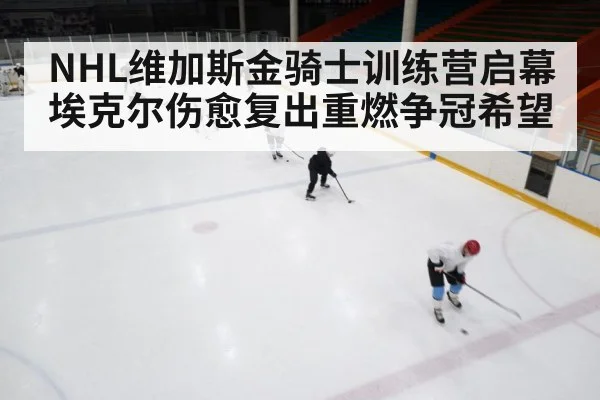 NHL维加斯金骑士训练营启幕 埃克尔伤愈复出重燃争冠希望